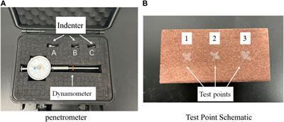 Experimental study on the disintegration behavior and mechanism of red-bed mudstone in guangxi, China